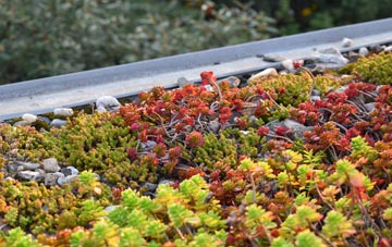 the cost of Burlow green roof installation