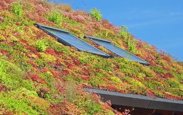 Burlow living roof systems
