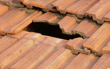 roof repair Burlow, East Sussex
